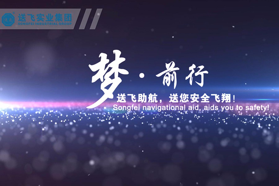 送飛實業(yè)集團(tuán) 企業(yè)宣傳片