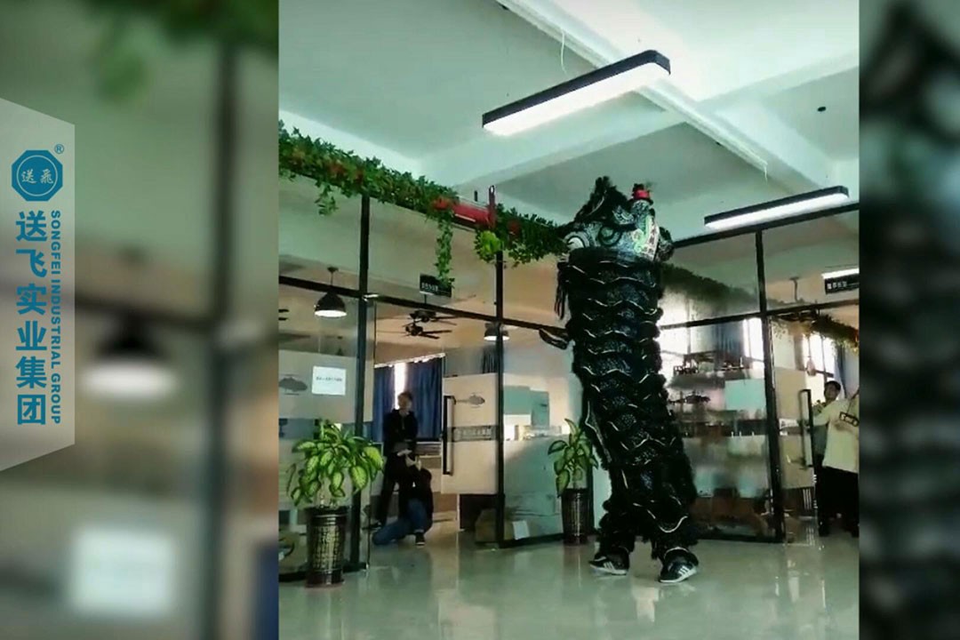 送飛實業集團：正月十五，舞獅鬧元宵 2019